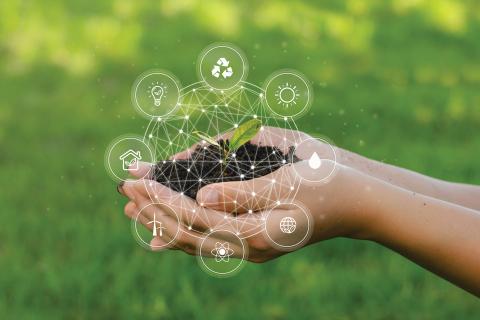 Charting the ESG Course for SMEs: Navigating Supply Chain Sustainability