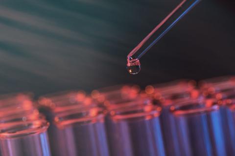 Investment that makes an impact