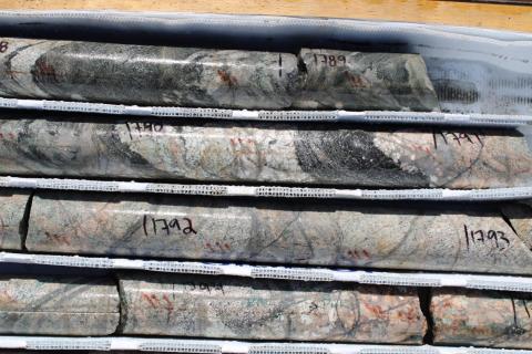 Buxton set for heavy workload with IGO backing