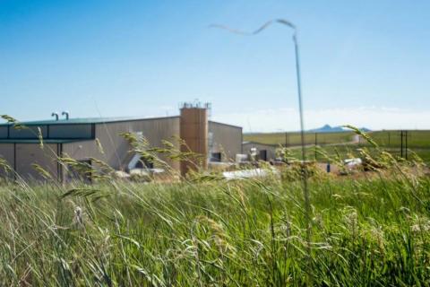 Peninsula capitalises on strong uranium demand