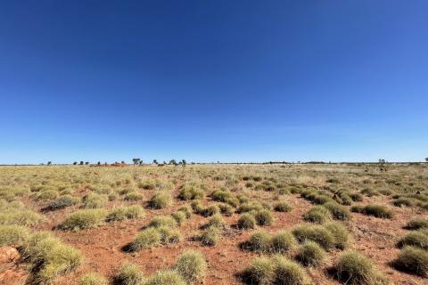 BHP chooses Hamelin, Longreach for Xplor