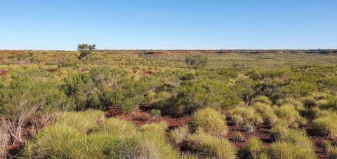 CZR sells project for $102m