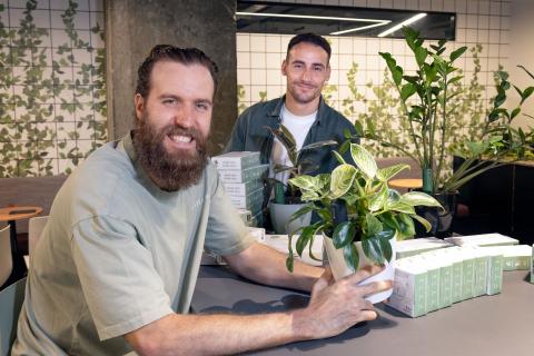 Plant health a sensor experience