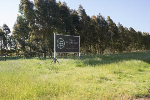 Forrest’s Harvest Road reports $38m loss