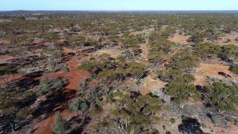 MTM to ramp up exploration