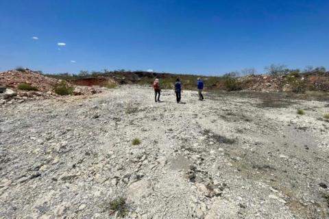 Hewlett leaves Wildcat Resources