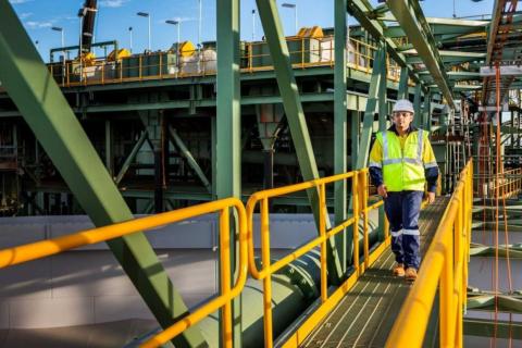 Lycopodium shares hit record high