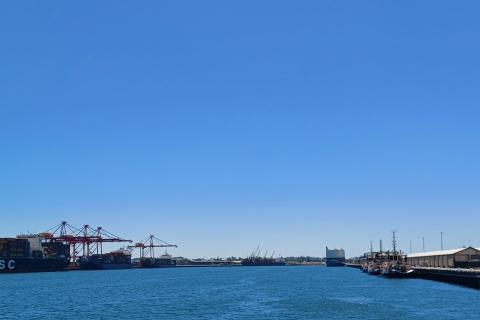 Thousands of sheep, cattle on ship remain in limbo