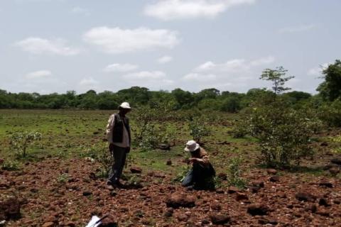 Lindian eyes maiden reserve as feasibility study looms