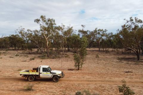 Millrose lookalike: Strickland unpicks Marwari geology