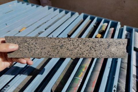 Second Kimberley hole hits more high-grade nickel for Buxton