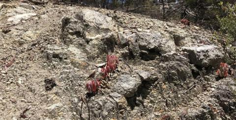 Summit appoints new managing director