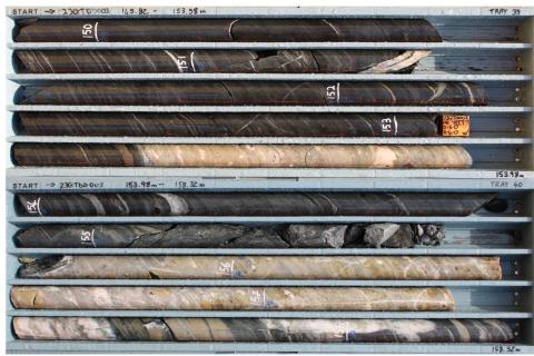 GreenTech extends Pilbara lithium pegmatite runs