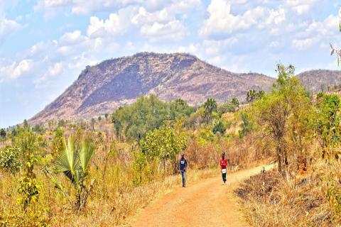 Lindian eyes more growth for Malawian rare earths giant