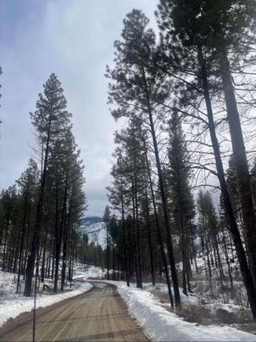 Pearson to leave Megado