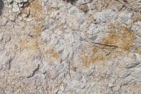 Aruma scales up rare earths grades at Salmon Gums