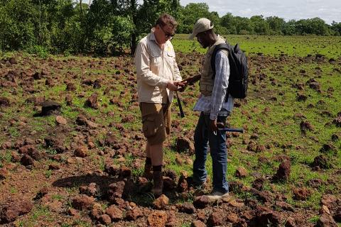 High-grade rare earths hits continue for Lindian in Malawi