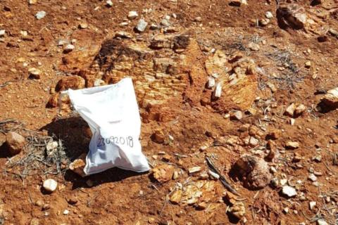 Venus nails 24m drill hit going 1.71 percent lithium