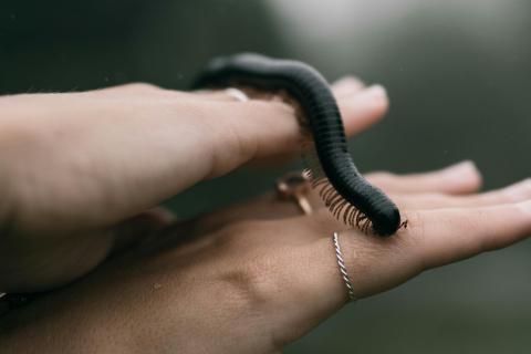 Uranium boom prompts Wiluna resource refresh for Toro