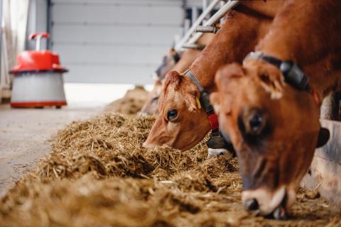 Tools aplenty to mitigate emissions