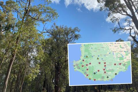 Record heatwave affects schools