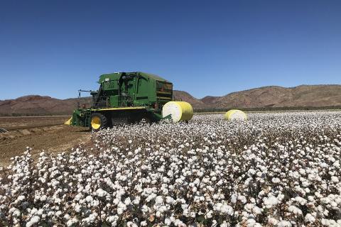 Ord farmland expands to NT border