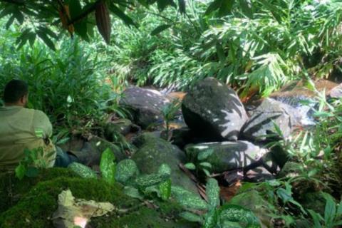 Gold Mountain sees key rare earths rocks in Brazil