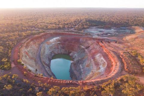 Widgie optimistic following study