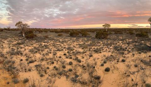 Deep Yellow taps investors for $250m