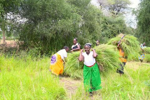 Climate change solution a key to environmental stability and safety