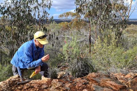 MinRes inks Goldfields lithium rights deal