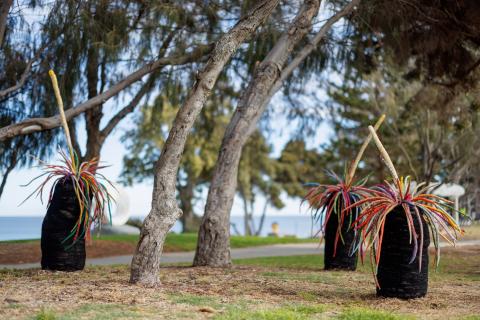 Sculpture by the Sea opens for 20th year