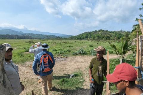 More manganese for Estrella in Timor-Leste hills