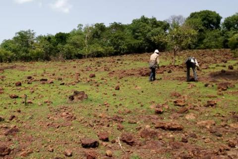 Lindian infill drilling dazzles as resource upgrade looms