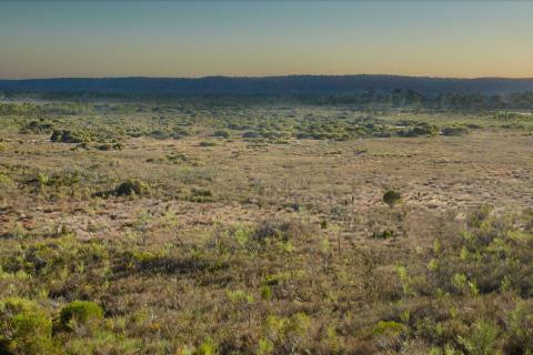 EPA urges halt to Kenwick wetland rezoning