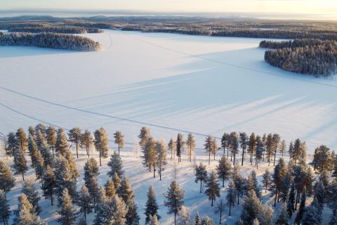 Transformational: Finland cobalt-gold coup for DiscovEx
