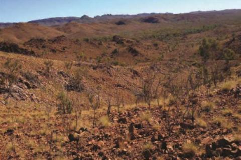 Hammer sells Queensland tenements