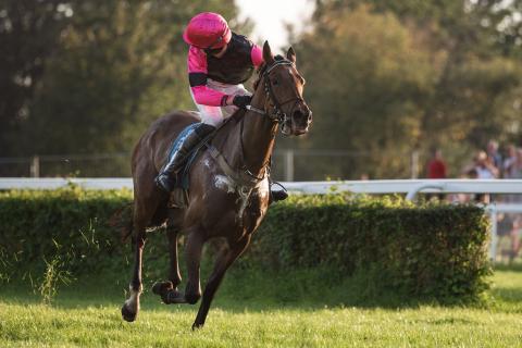 Thoroughbred WA leads Vic in a canter