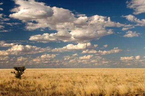 Middle Island locks in new NT copper-gold targets