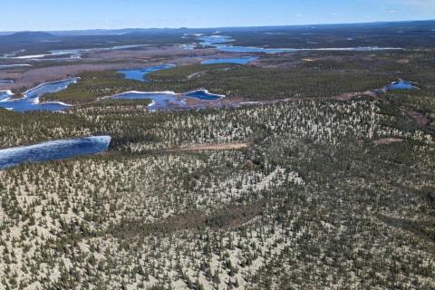 Winsome eyes Canadian project