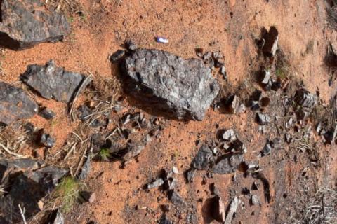 Surefire appoints new CEO