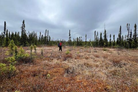 Thunderbird goes high-tech uranium hunting in Canada