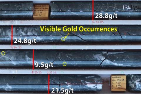 Strickland gallops to glittering WA gold at Palomino