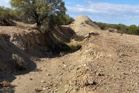 Reach zeros in on Gascoyne niobium, rare earths