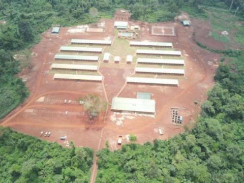 Wilcox resigns as Tietto boss