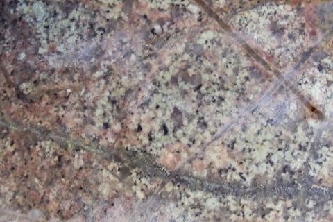 Buxton takes to sky to define Arizona copper target cluster