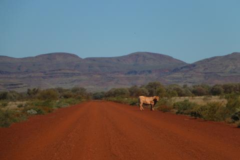 State commits $26m to bolster biosecurity