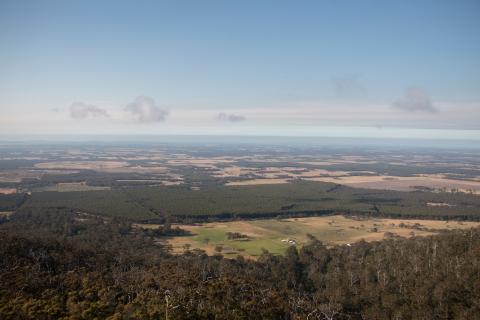 WA farmland values up 32pc
