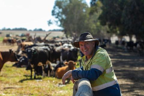 Robotic dairy a test case for growth