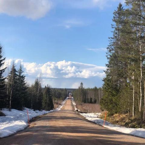 Kingrose and BHP form alliance